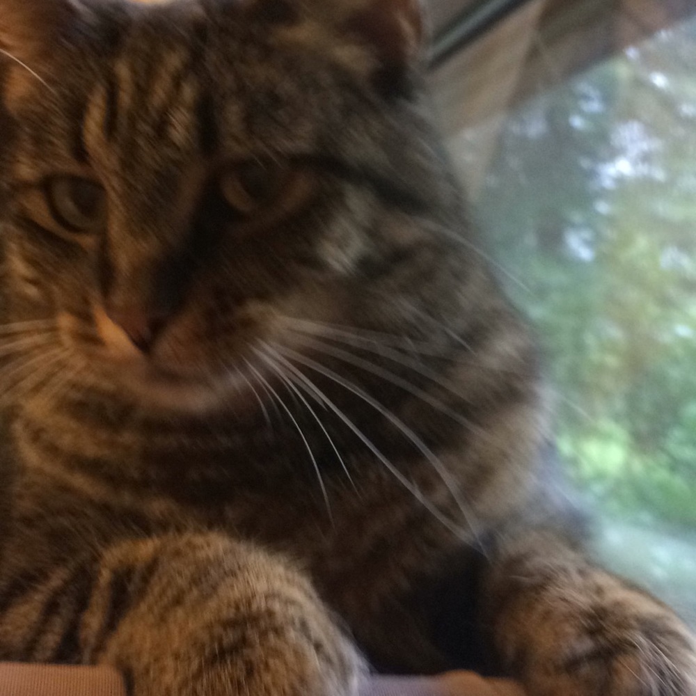 Meet your Posher, Trudy